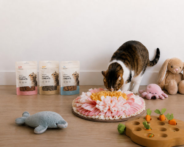 L'univers des chats