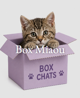 Box Miaou