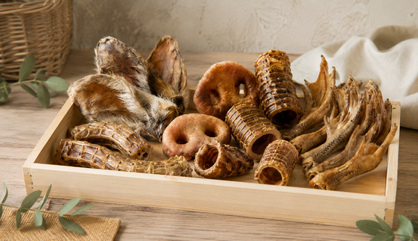 Mastications Naturelles